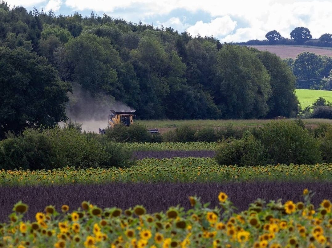 thumbnail_Screenshot_20220422-104409_Instagram-aspect-ratio-580-435