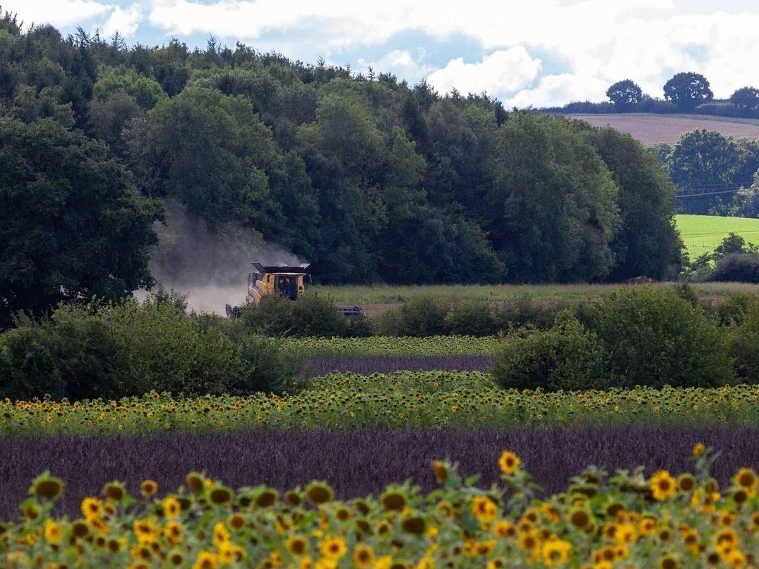 thumbnail_Screenshot_20220422-104409_Instagram-aspect-ratio-580-435